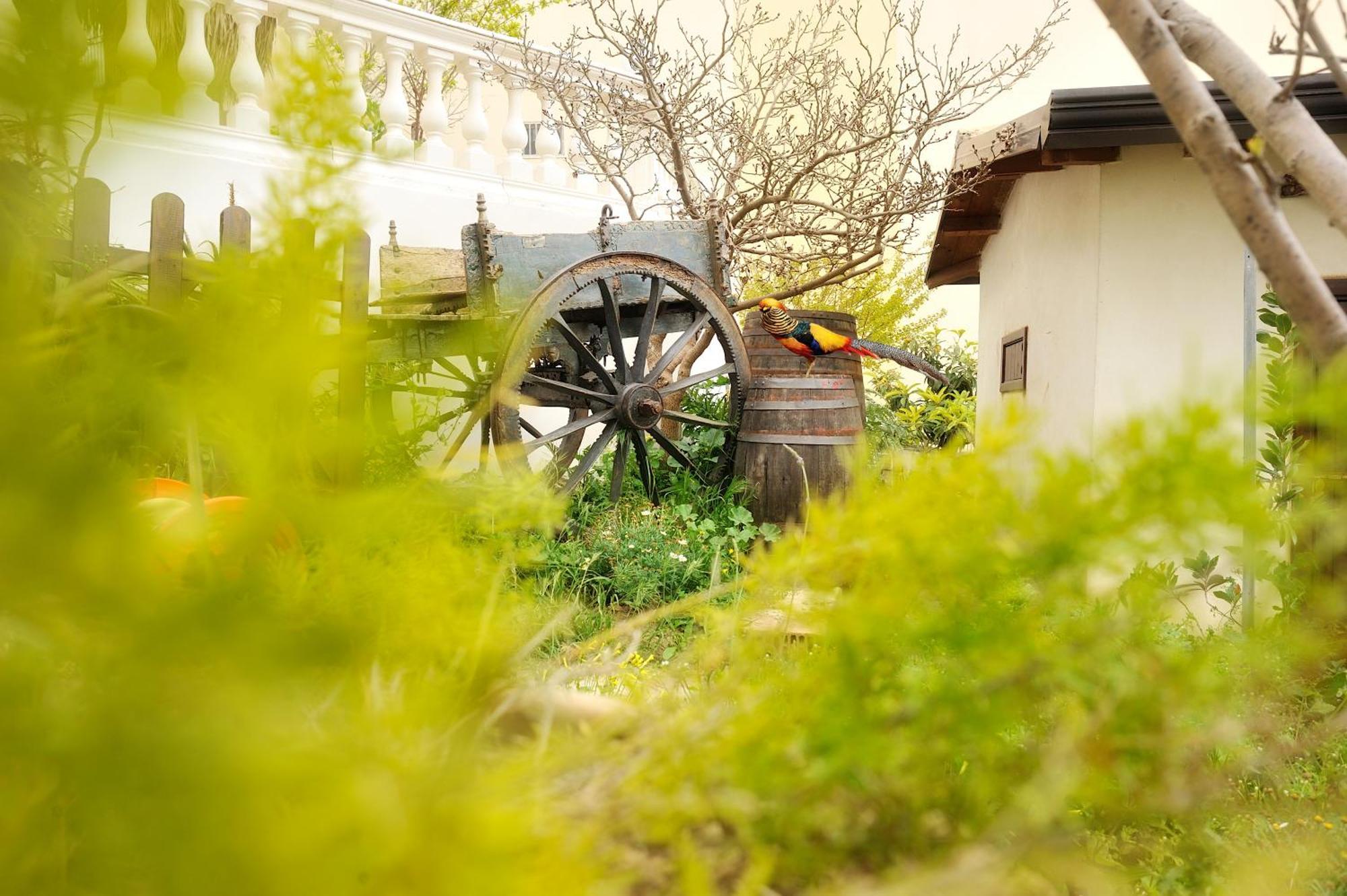 Elsa Cori Me Otel Favara Dış mekan fotoğraf
